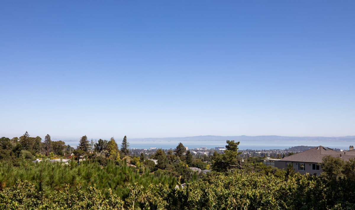Hillsborough Homes for Sale
