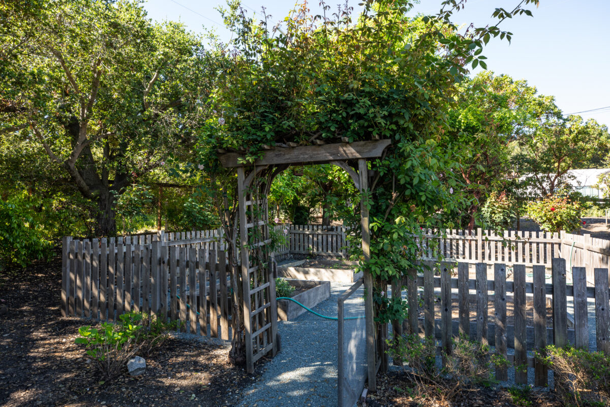 Los Altos Hills Homes for Sale