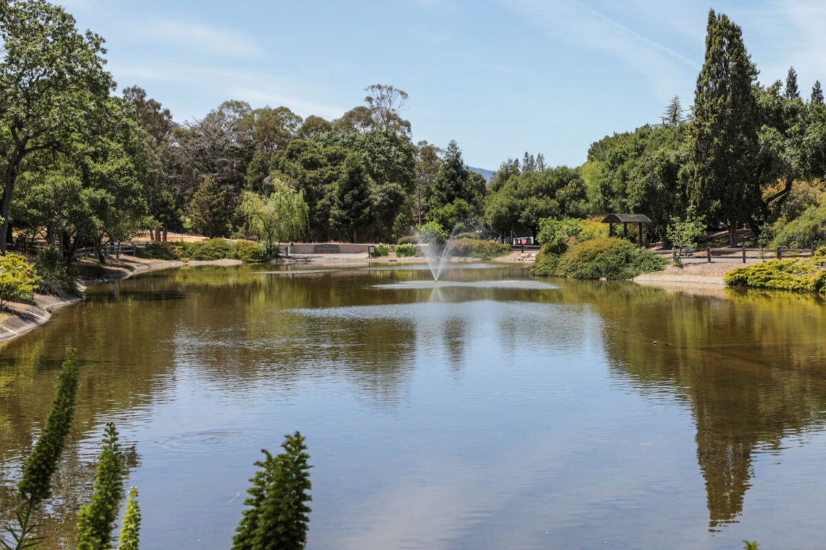 Menlo Park Homes for Sale